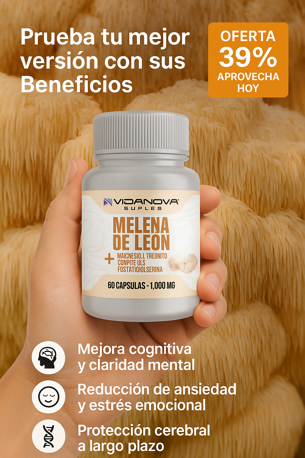 Encabezado