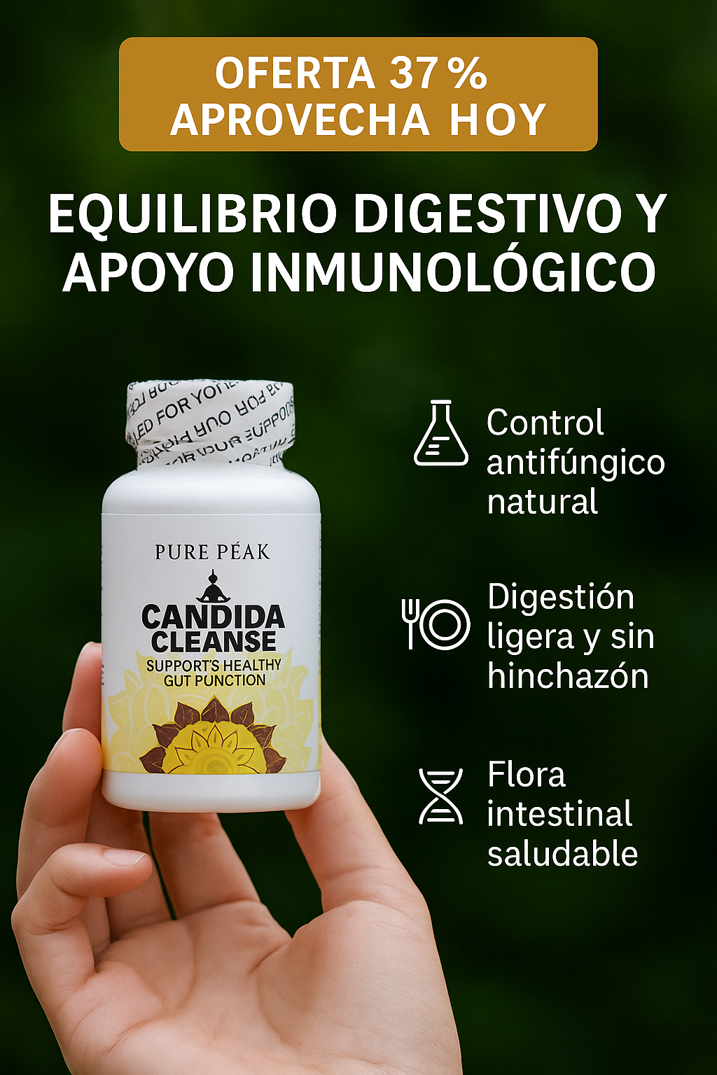 Encabezado